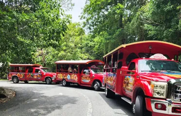 Rental Jeep driving on the left on a St. John road